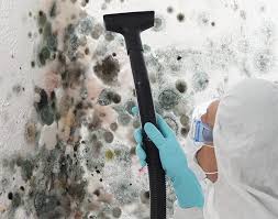 Best Industrial Mold Remediation  in Aurora, SD